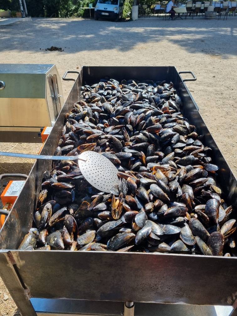 Brasucade de moule sauce philou plats cuisinés