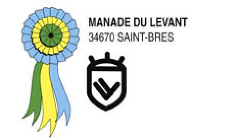 Location de salle et élevage de taureau Saint Bres MANADE DU LEVANT